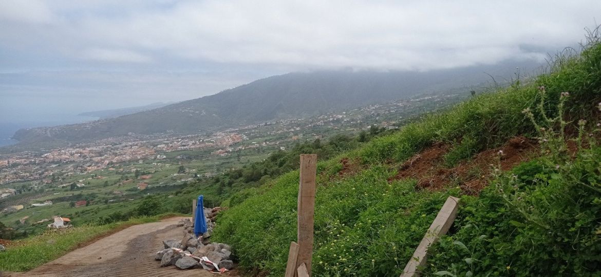 El Camino La Suerte (CEDIDA)