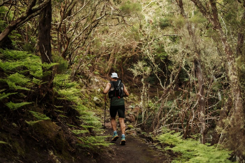 Imagen del Trail (CEDIDA)