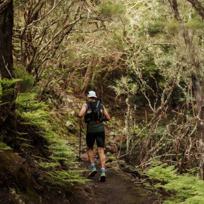 Imagen del Trail (CEDIDA)