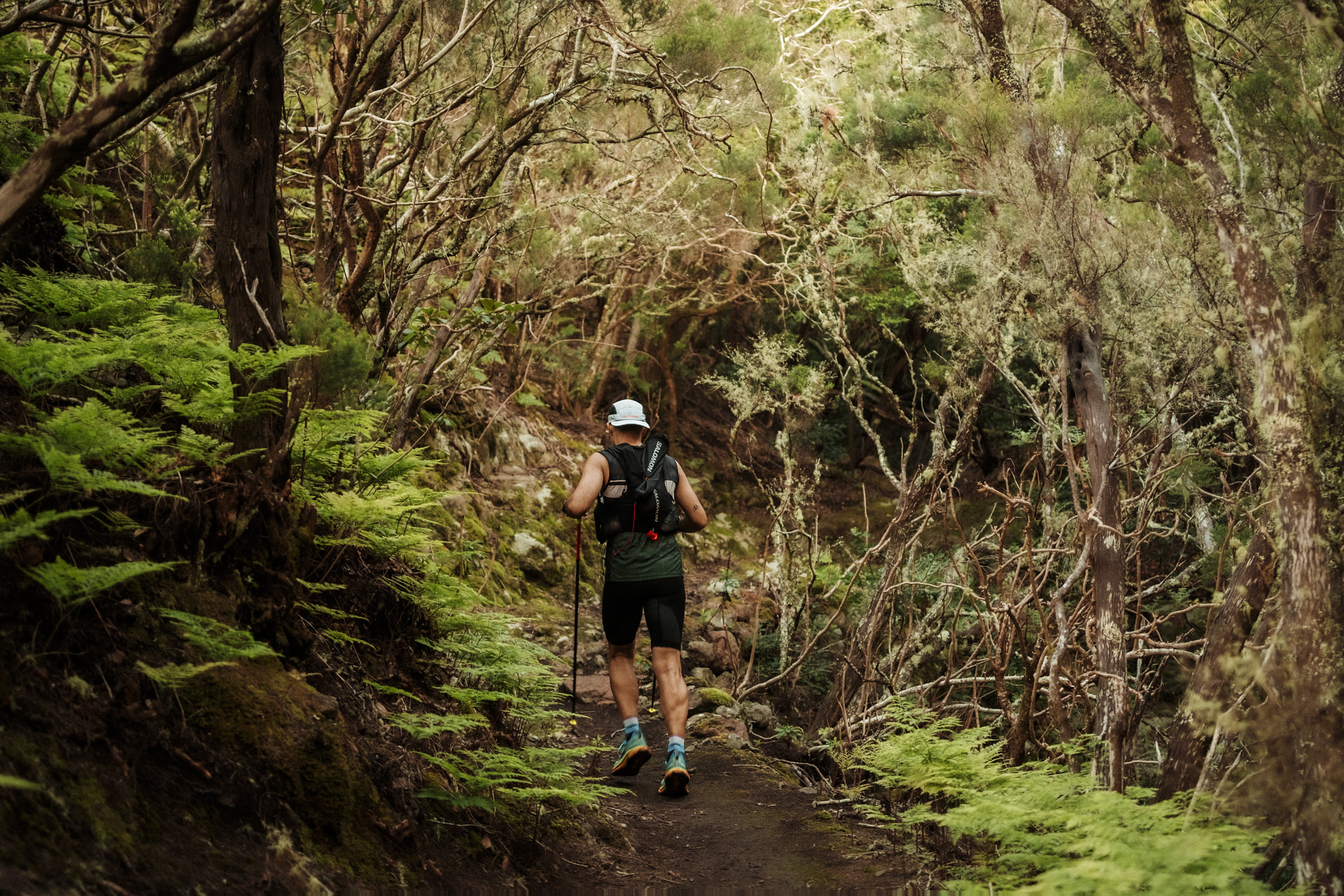 Imagen del Trail (CEDIDA)
