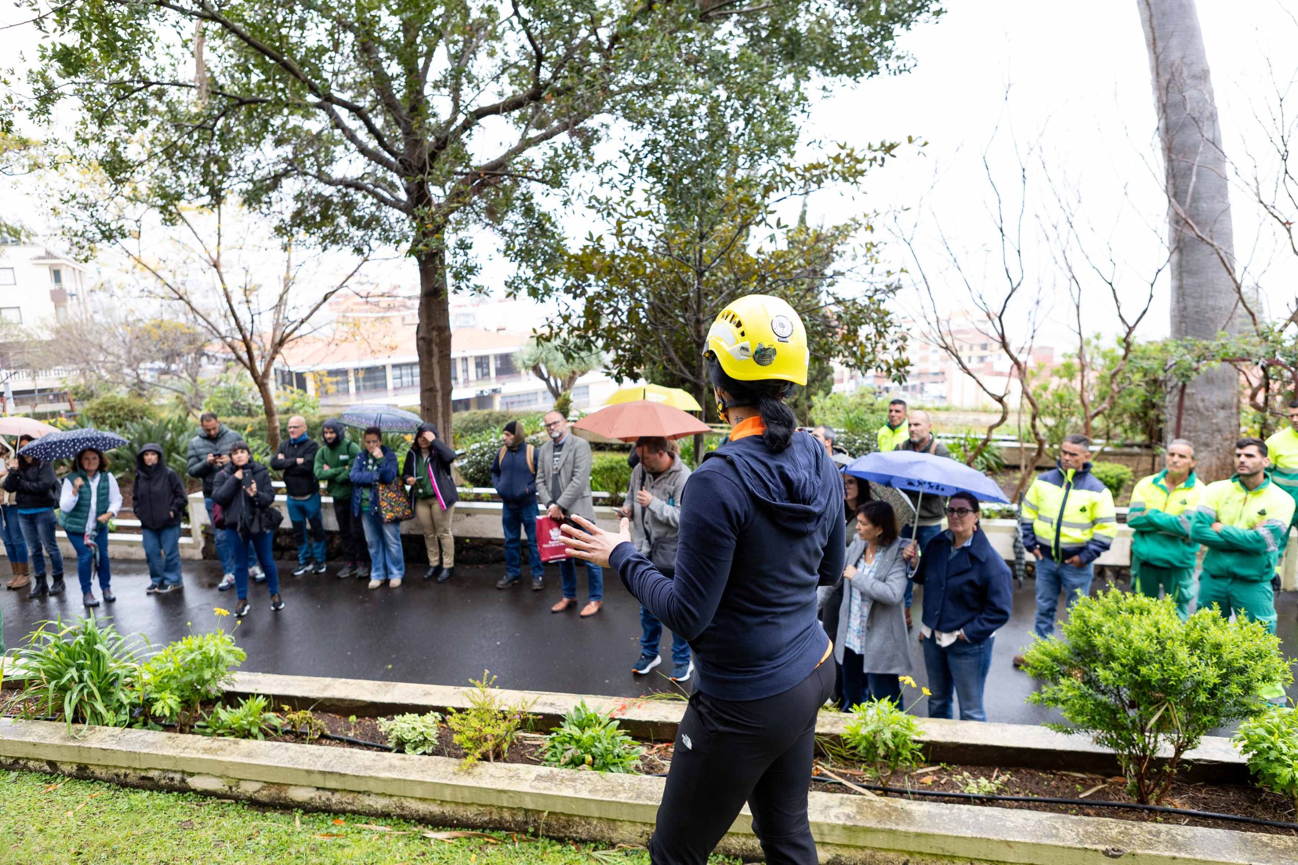 Acto de celebración del Día del Árbol (LA OROTAVA)