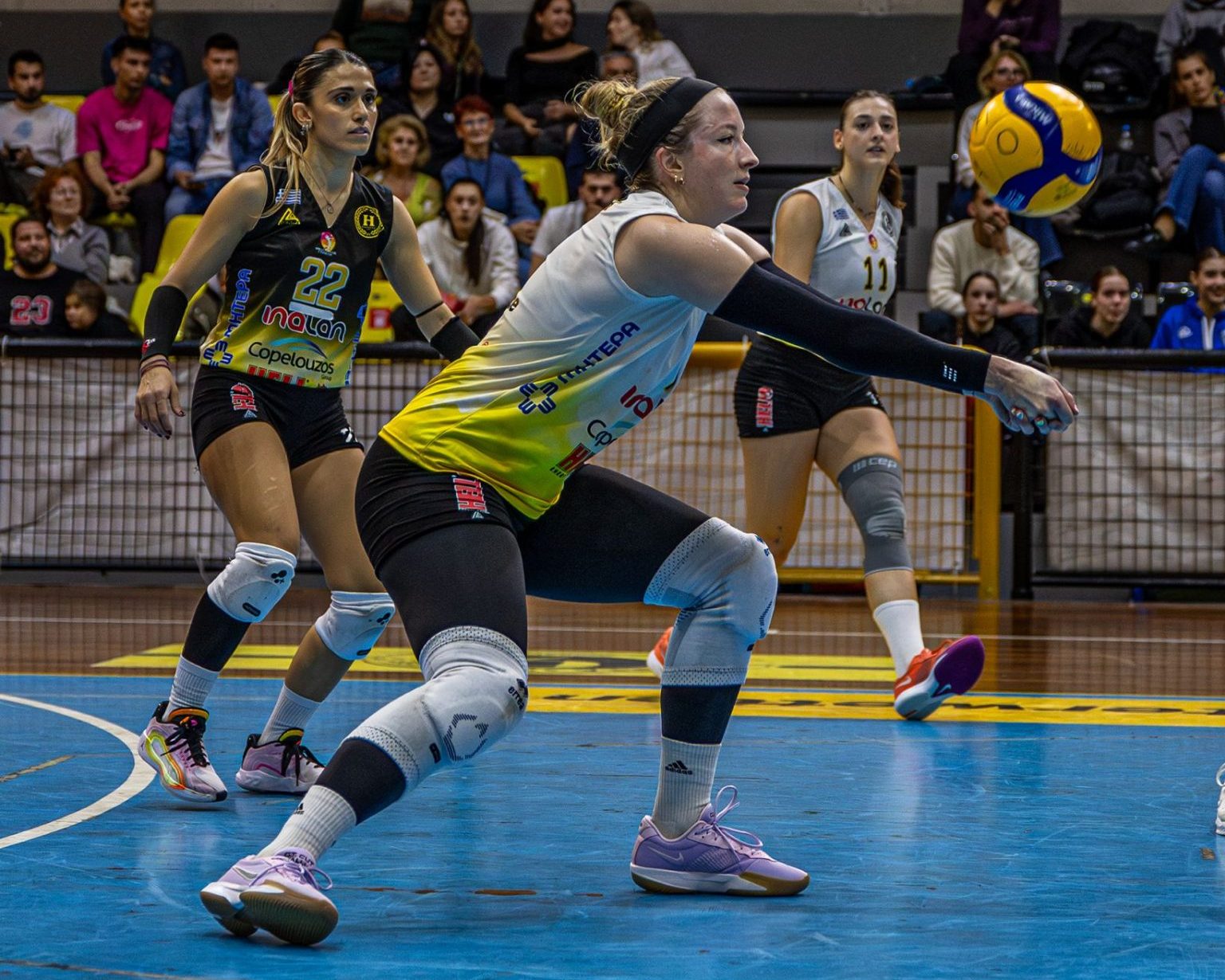 Alli Cudworth (CEDIDA)
