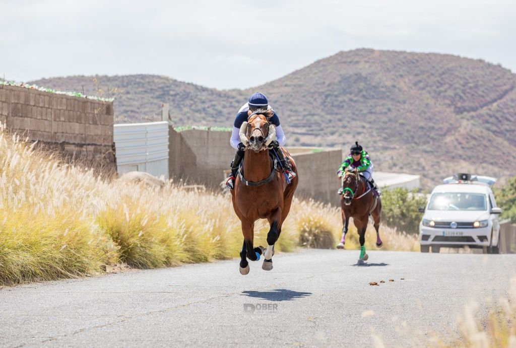 Carrera de caballos en Güímar (CEDIDA)