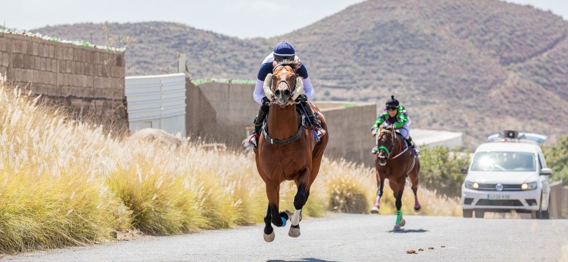 Carrera de caballos en Güímar (CEDIDA)