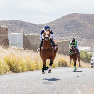 Carrera de caballos en Güímar (CEDIDA)