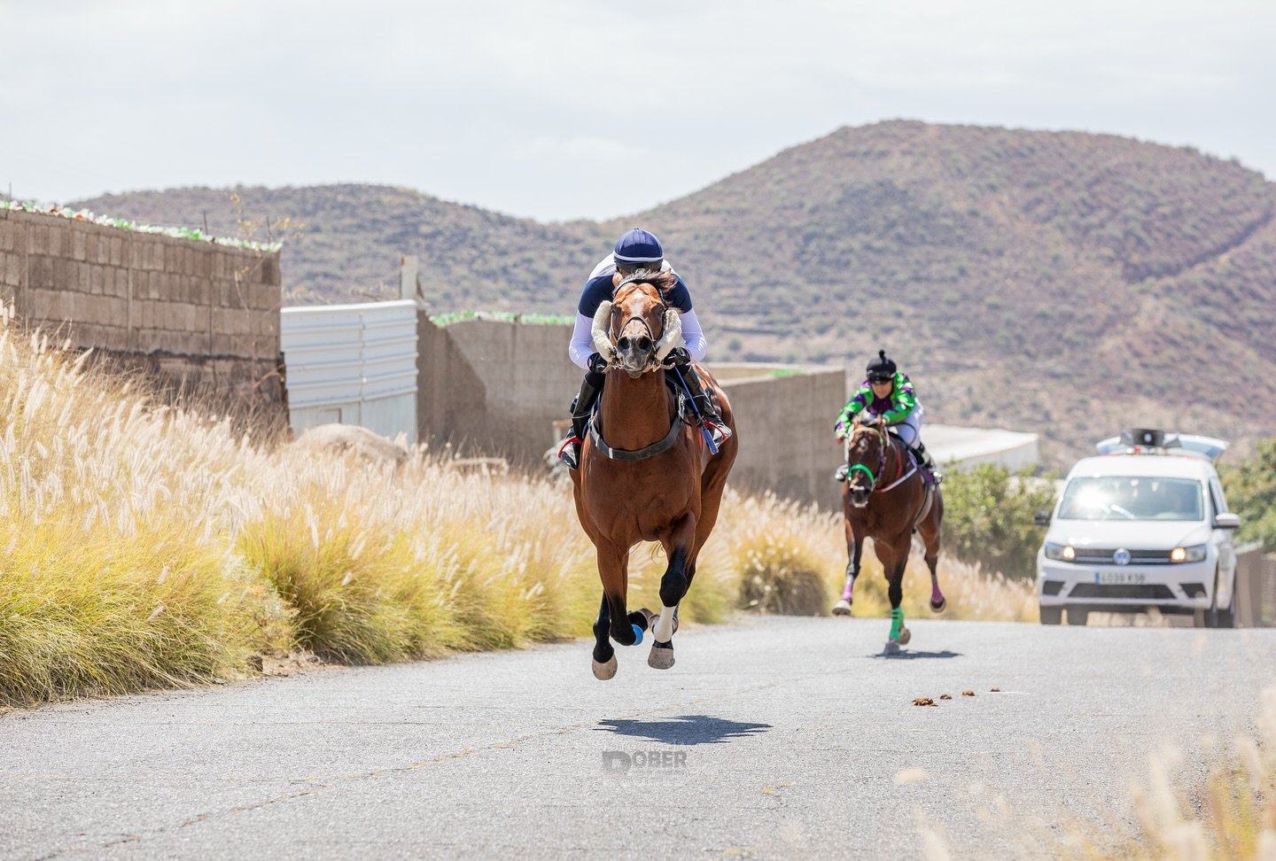 Carrera de caballos en Güímar (CEDIDA)