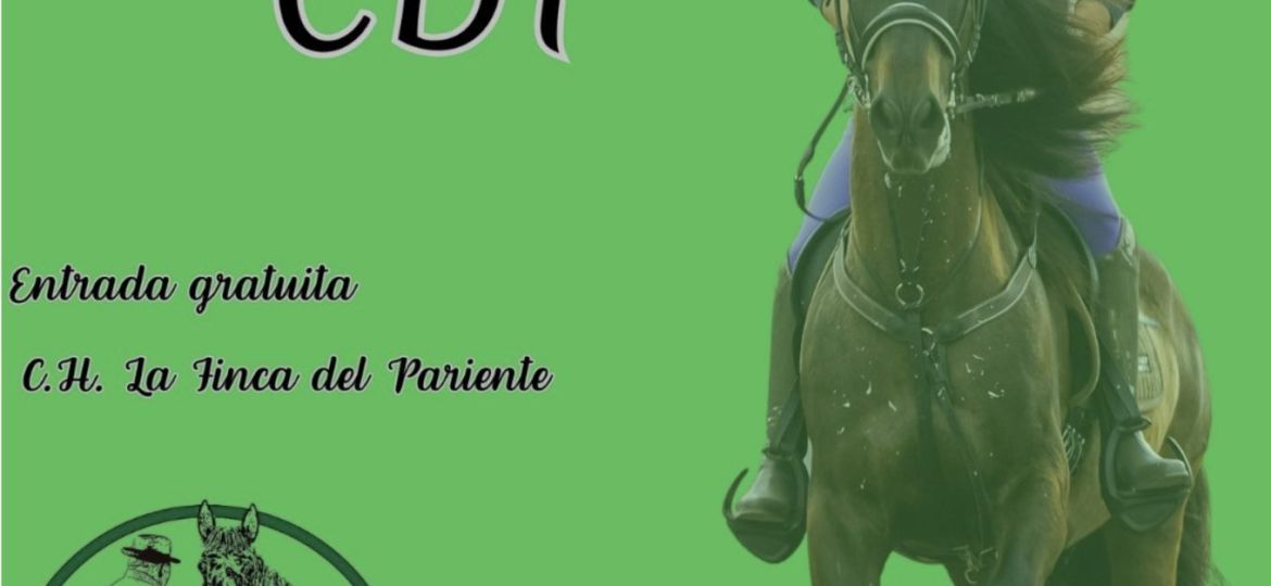 Cartel del evento (CEDIDA)