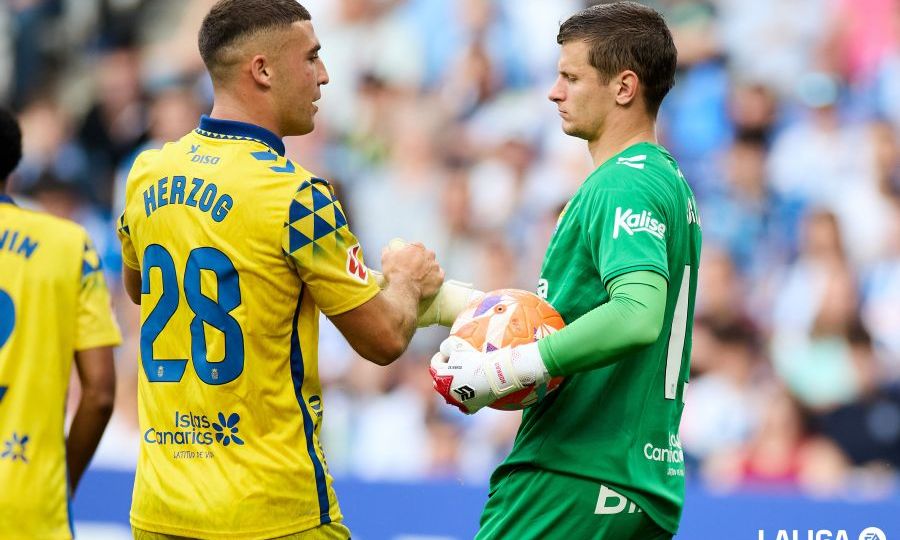 Choque de manos entre Juanma Herzog y Horkas (La Liga)