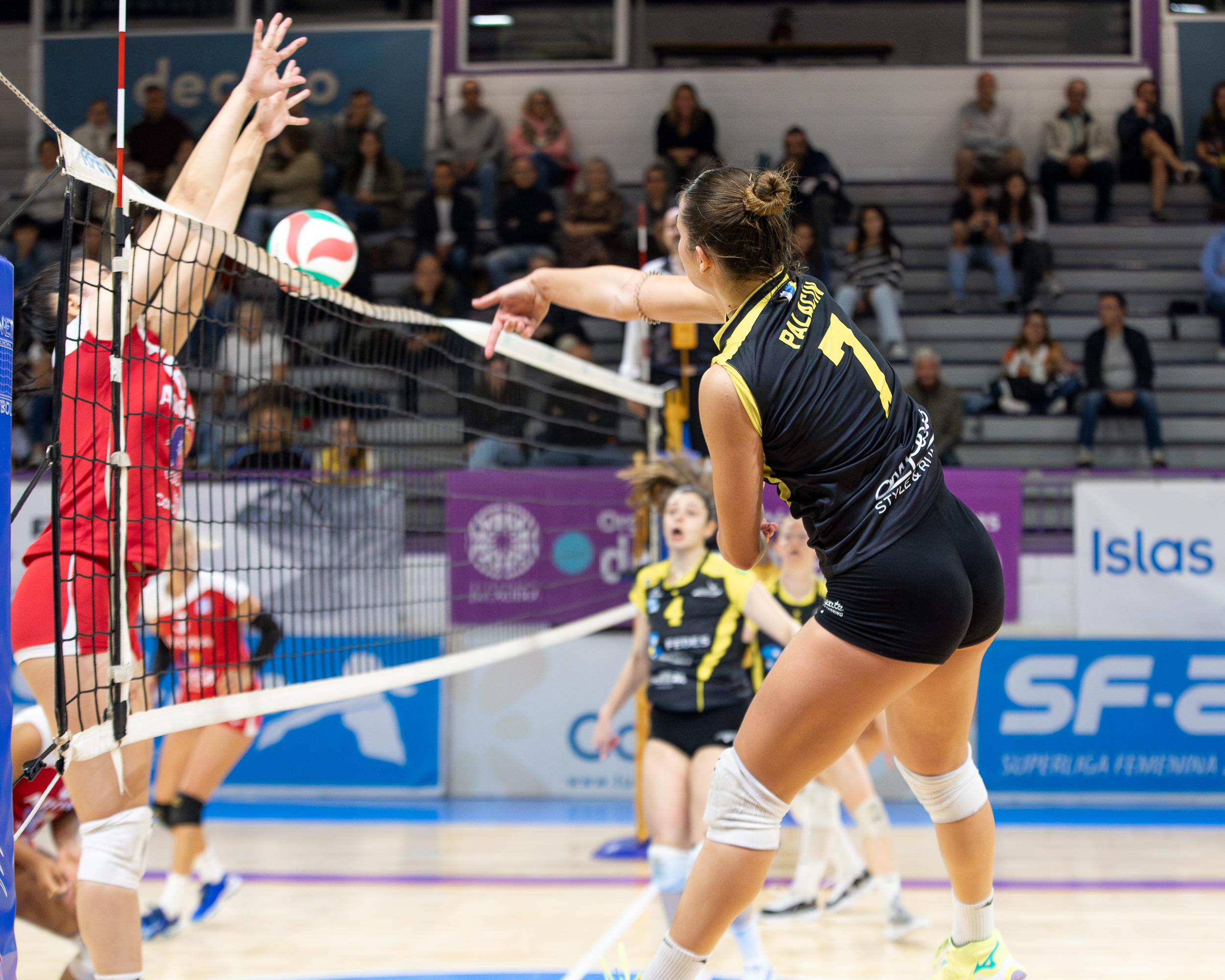 Daniela Palacín durante un partido (CEDIDA)