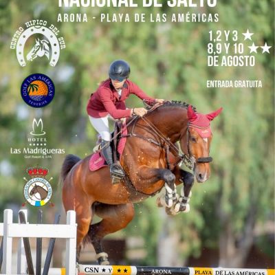 Cartel del evento (CEDIDA)