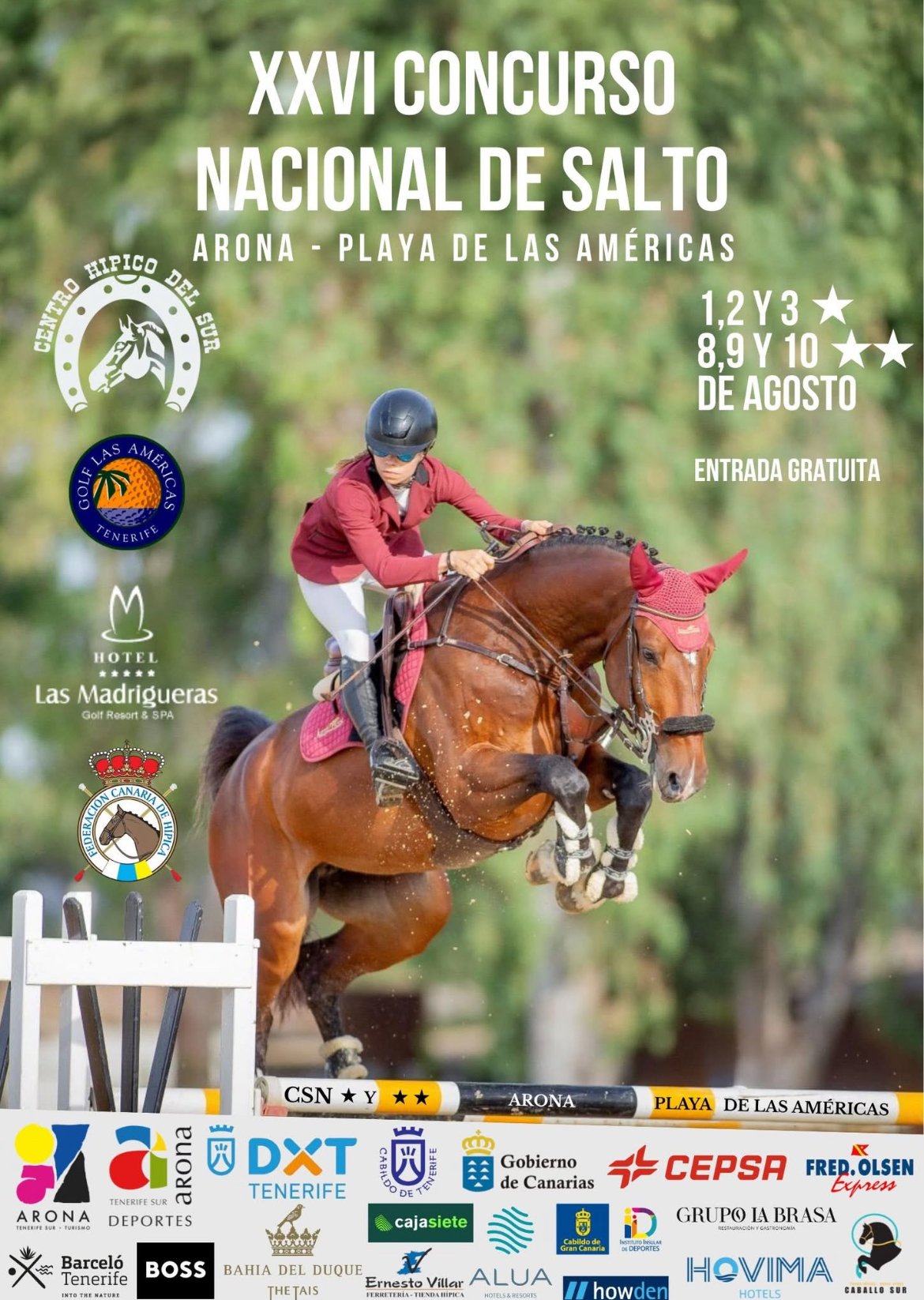 Cartel del evento (CEDIDA)