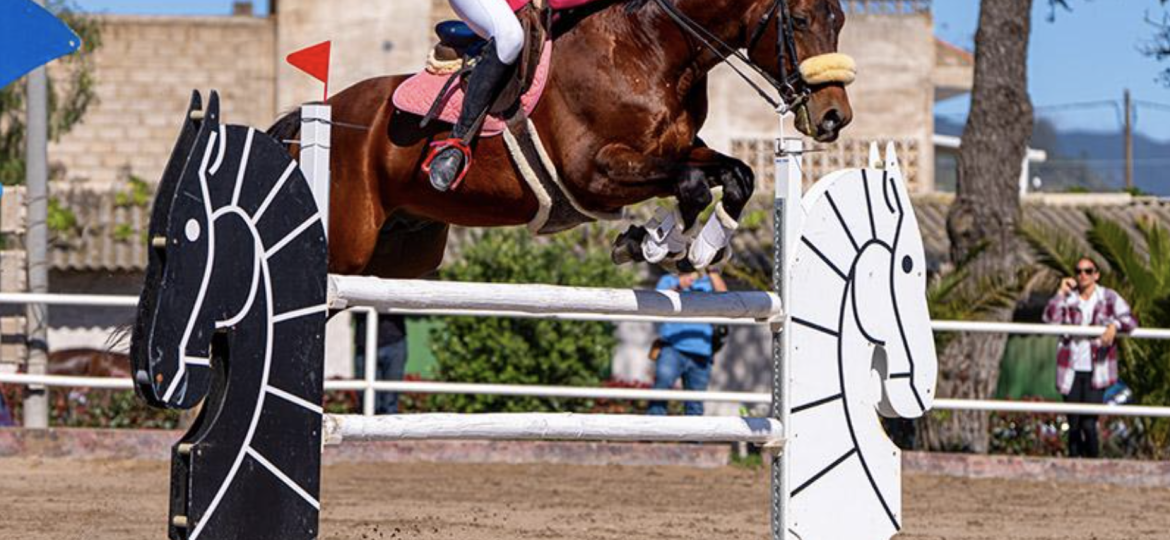 Imagen del Concurso Nacional de Salto de Obstáculos de una estrella (CEDIDA)