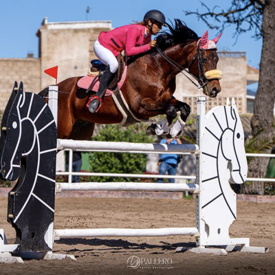 Imagen del Concurso Nacional de Salto de Obstáculos de una estrella (CEDIDA)