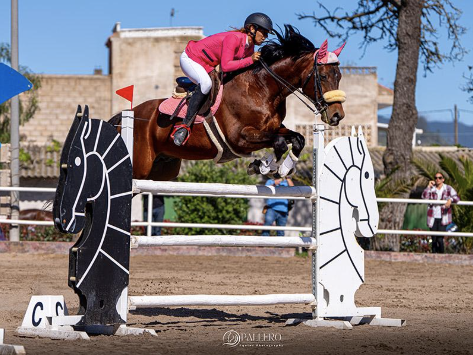 Imagen del Concurso Nacional de Salto de Obstáculos de una estrella (CEDIDA)