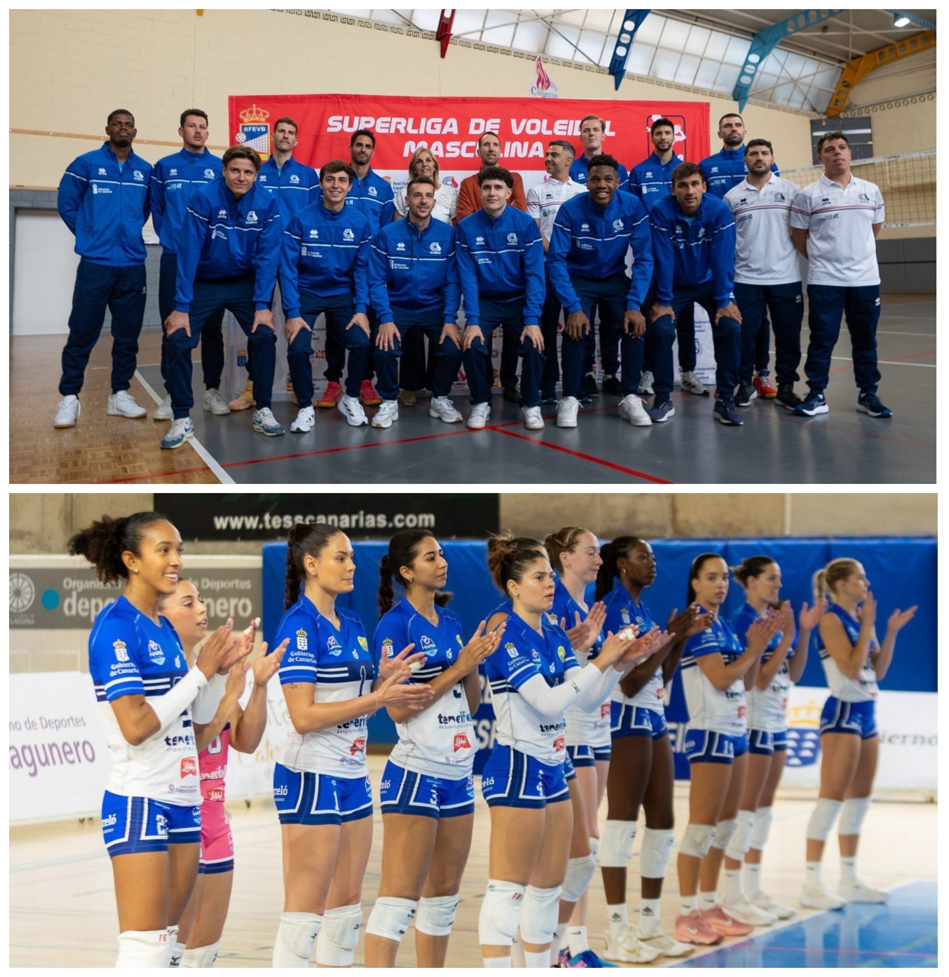 Plantillas 25-26 de Cisneros y Haris (CEDIDAS)