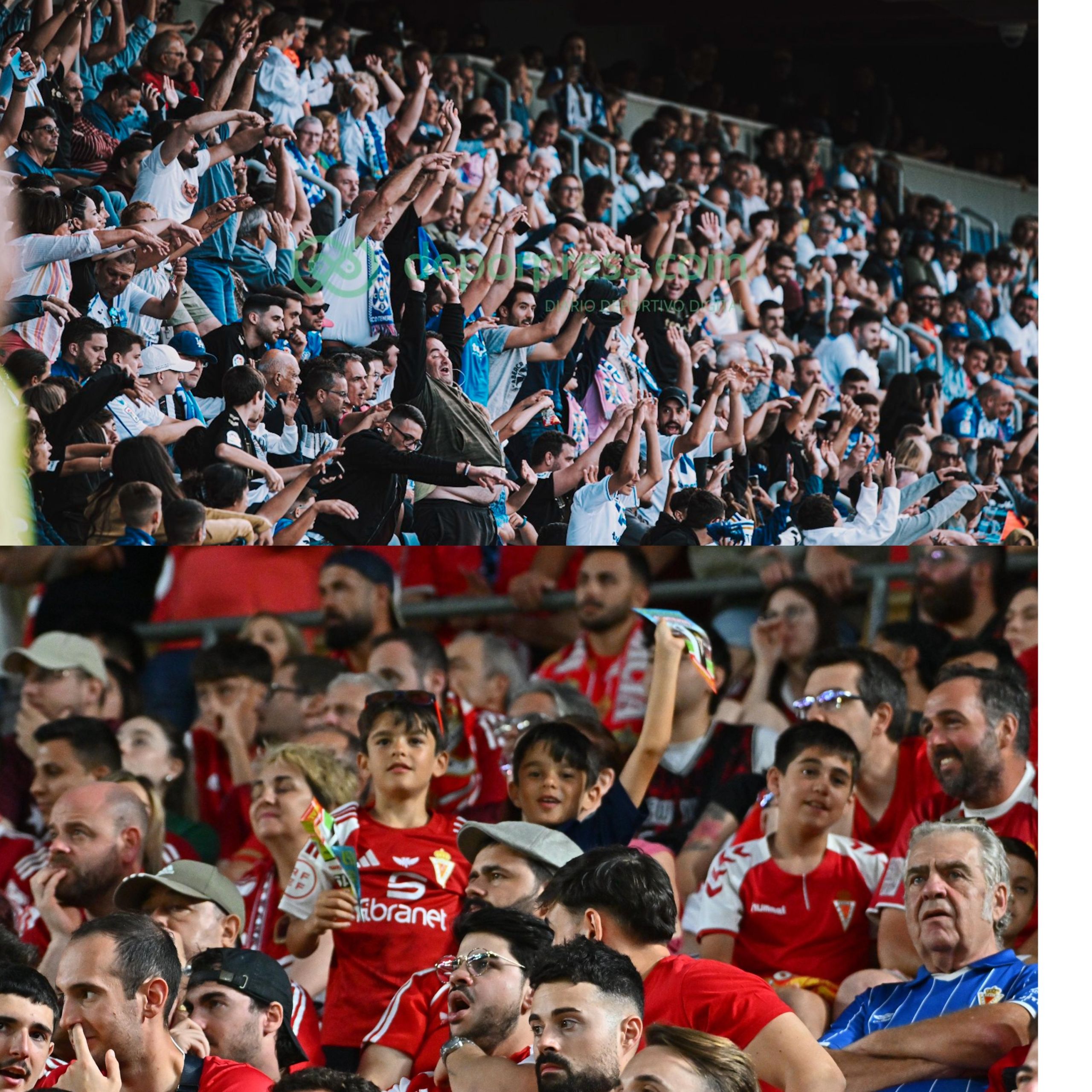 Aficiones de Tenerife y Murcia (CEDIDA)