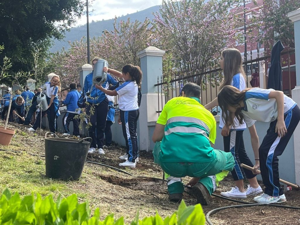 Niños en la actividad del Día del Árbol (LA OROTAVA)