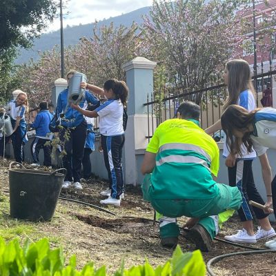 Niños en la actividad del Día del Árbol (LA OROTAVA)