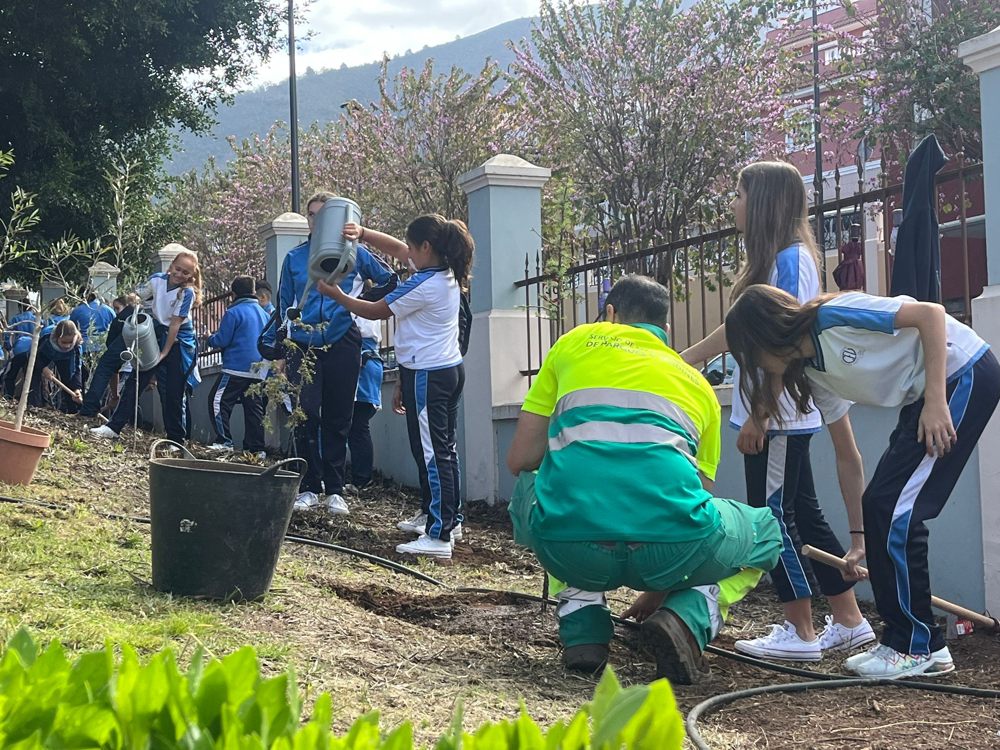 Niños en la actividad del Día del Árbol (LA OROTAVA)