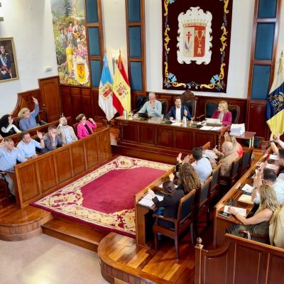 Pleno del Ayuntamiento de Los Realejos (LOS REALEJOS)