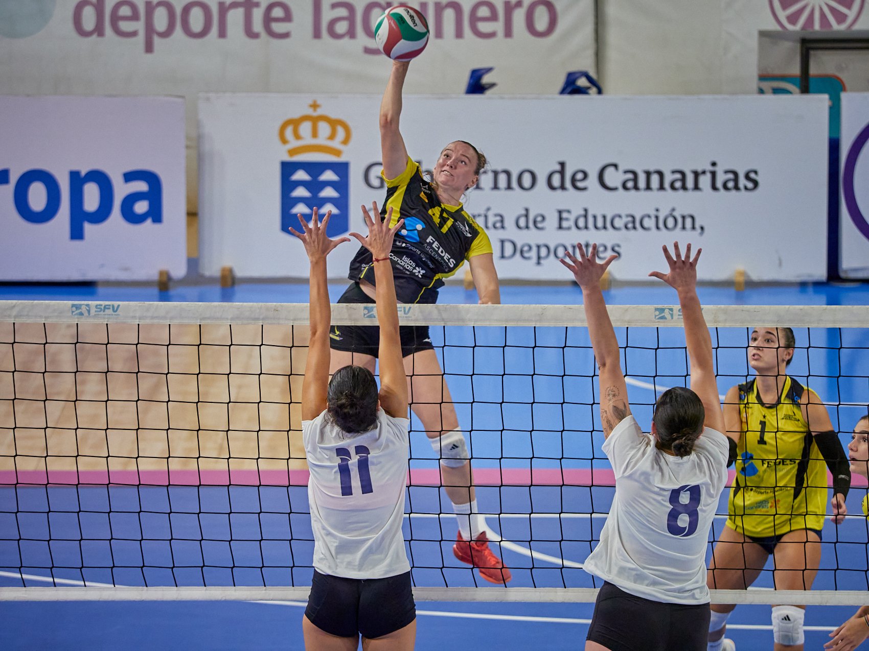 Un partido del Aguere. (CEDIDA)