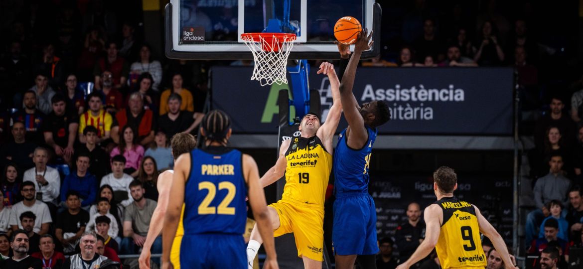 Shermadini pelea un balón durante el partido (ACB PHOTO)