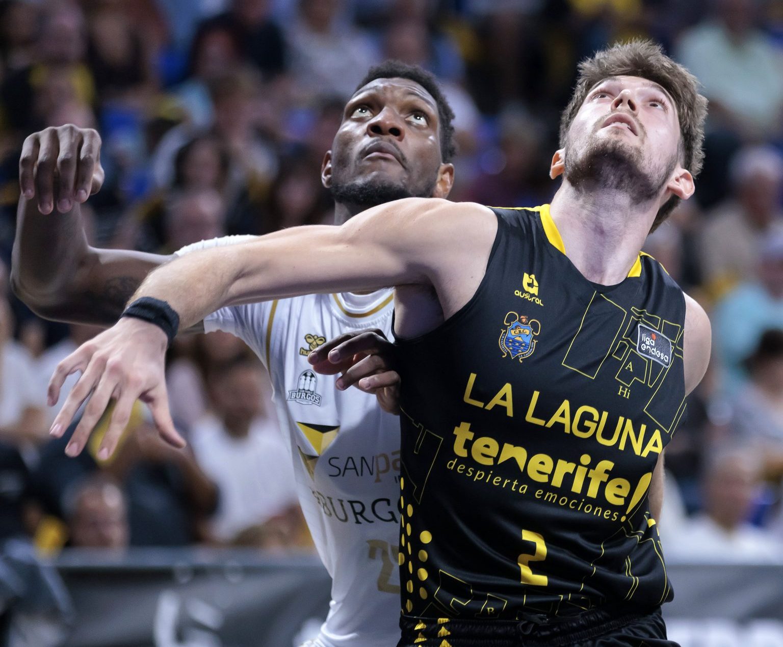 Kostadinov pelea por un rebote (ACB Media / Emilio Cobos)