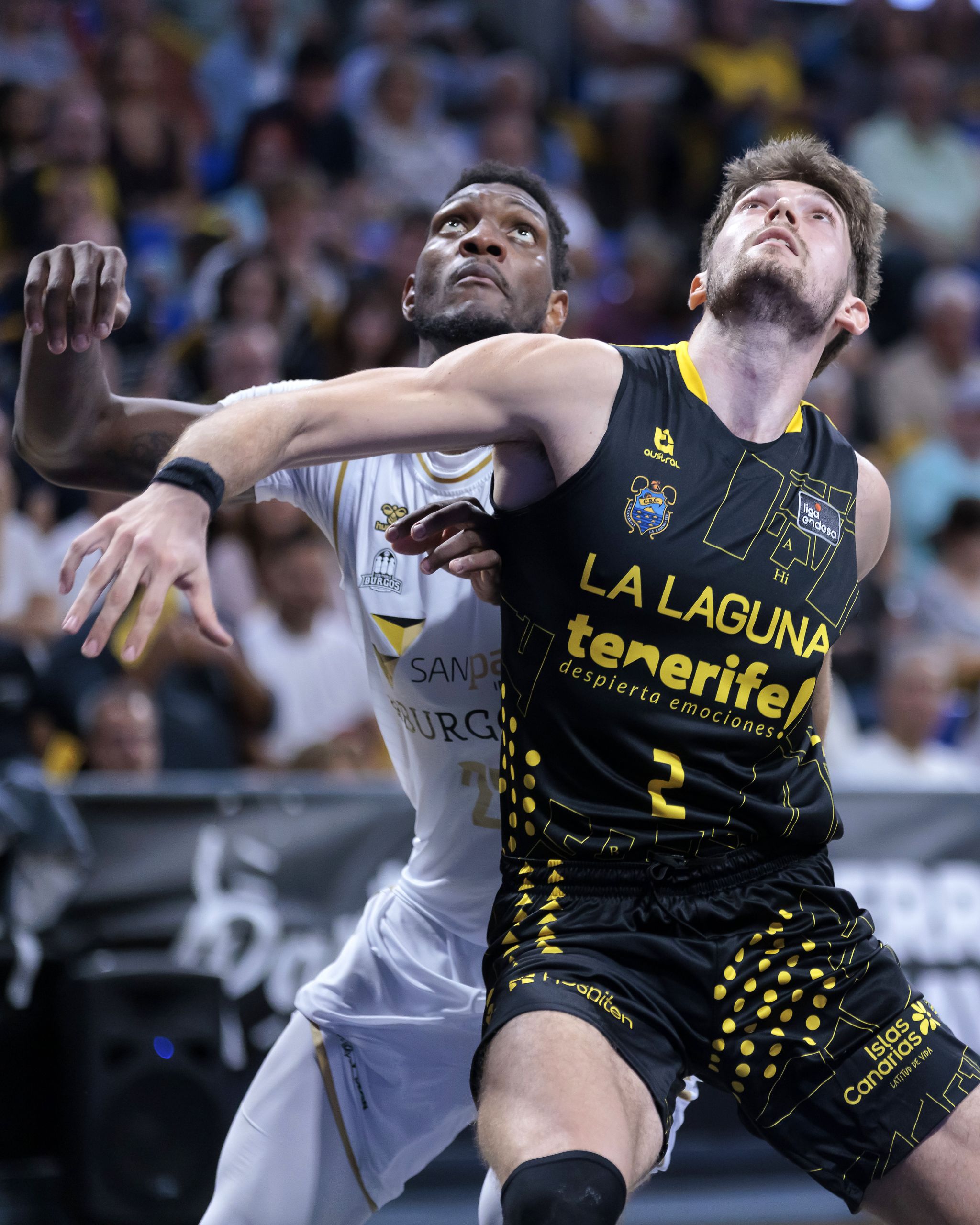 Kostadinov pelea por un rebote (ACB Media / Emilio Cobos)