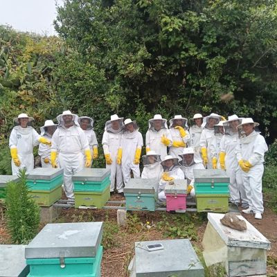 Un grupo de jóvenes practicando apicultura (LA OROTAVA)