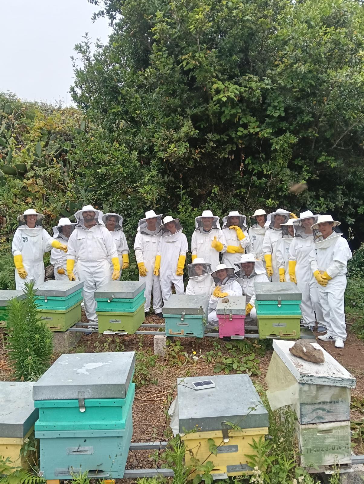 Un grupo de jóvenes practicando apicultura (LA OROTAVA)