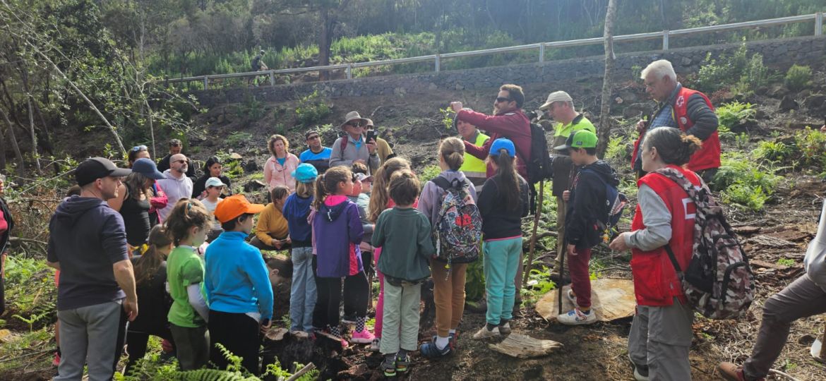 Una imagen del desarrollo de las actividades (LA OROTAVA)