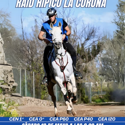 Cartel del XXXIII Raid Hiìpico La Corona en Los Realejos (CEDIDA)