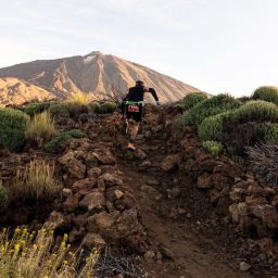 Sendero al Teide (CEDIDA)