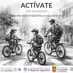 Cartel oficial