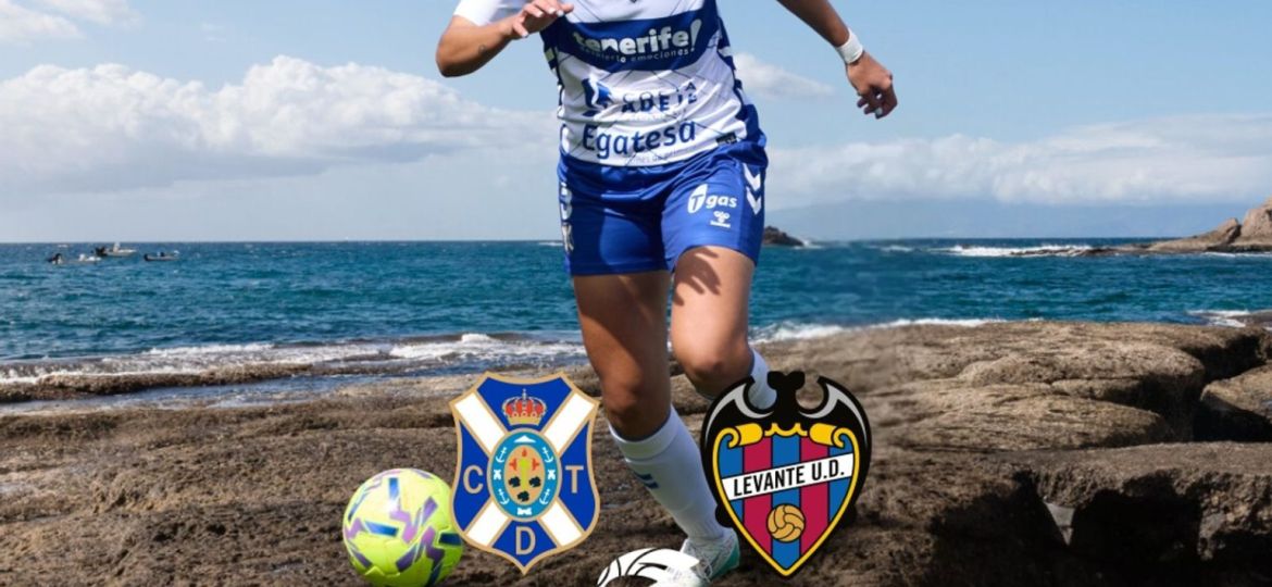 CDT - LEVANTE FEED