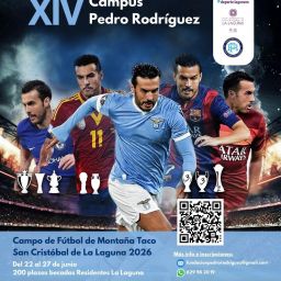 Cartel oficial (CEDIDA)
