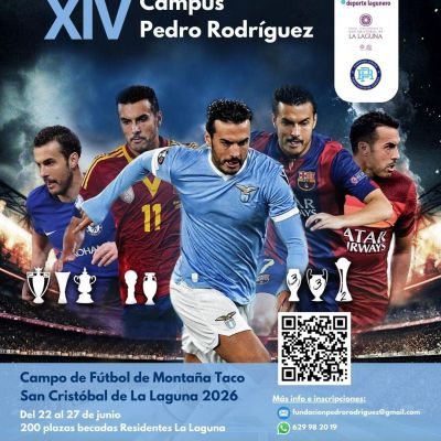 Cartel oficial (CEDIDA)