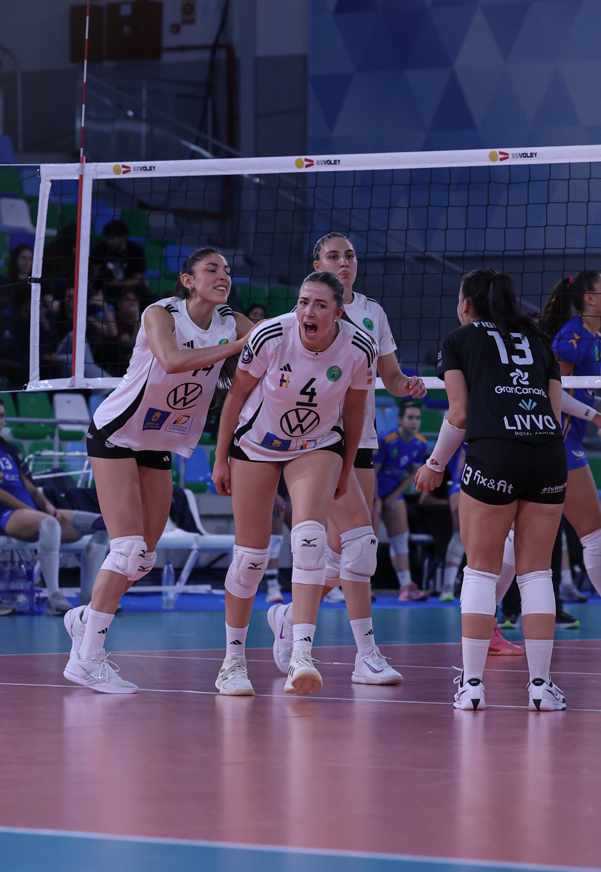 Celebración de un punto por parte de las jugadoras del CV Heidelberg (RFEVB)
