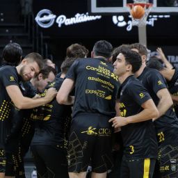 Conjura aurinegra (CB Canarias)