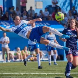 Acción del partido (CEDIDA).