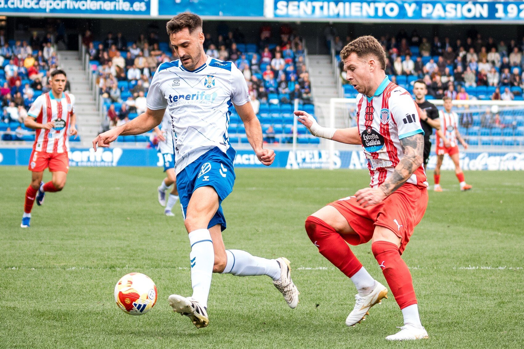 Jesús de Miguel (CD TENERIFE).