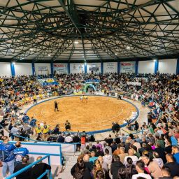 Terrero de lucha de Vecindario (CEDIDA).