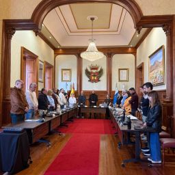 |Imagen del pleno (LA OROTAVA)