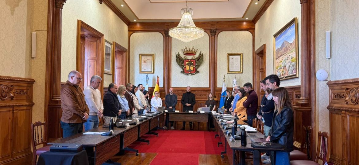 |Imagen del pleno (LA OROTAVA)