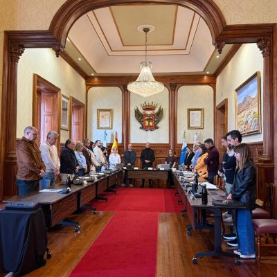 |Imagen del pleno (LA OROTAVA)