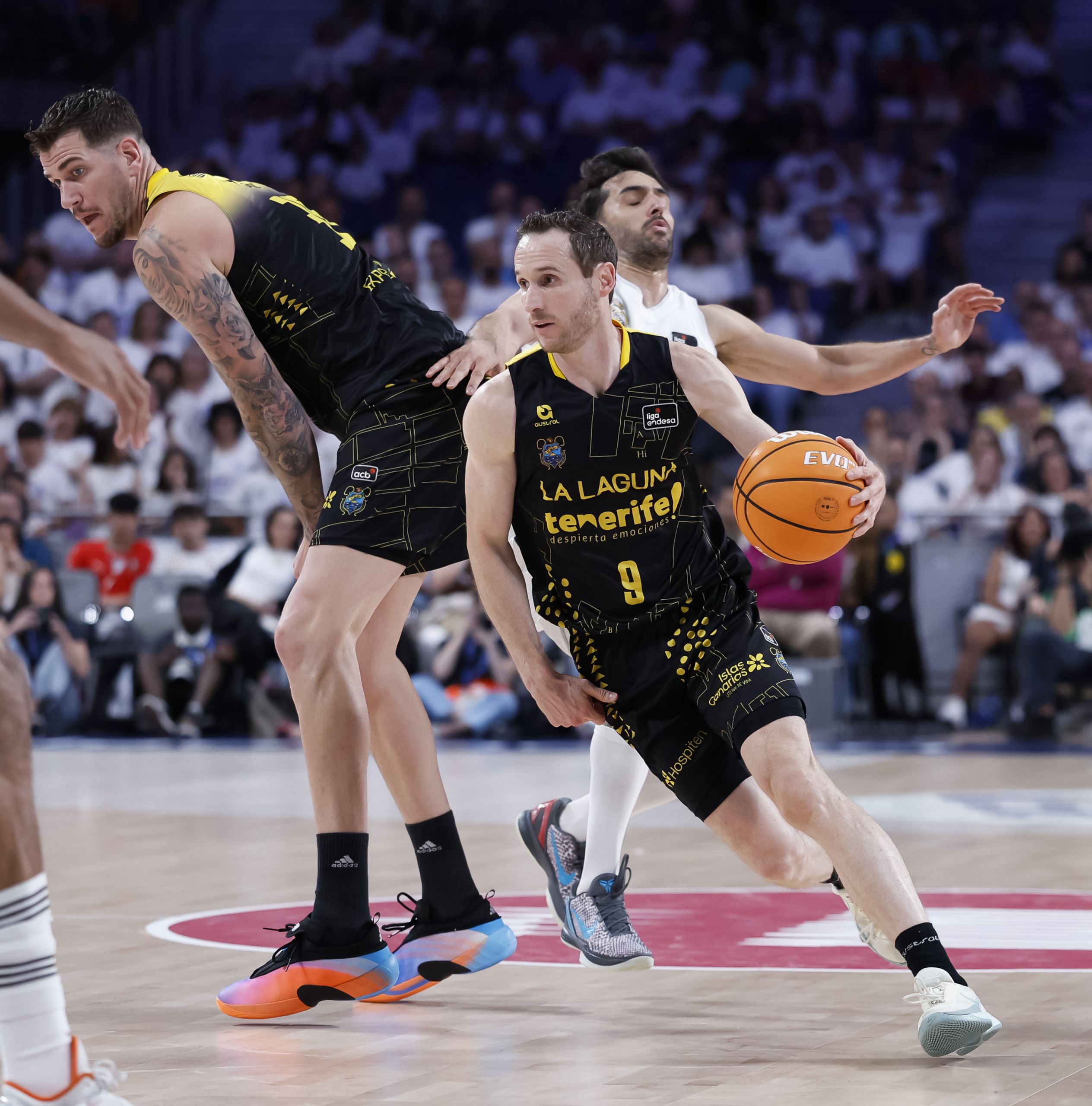 Huertas, en el Real Madrid 90-95 La Laguna Tenerife. (acb Photo / David S. Bustamante)