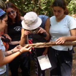 Un programa medioambiental (LA OROTAVA)