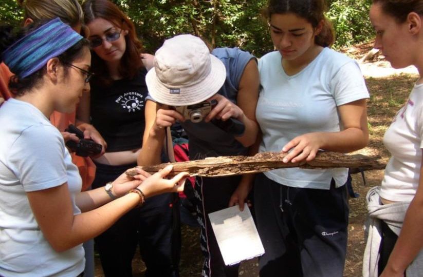 Un programa medioambiental (LA OROTAVA)