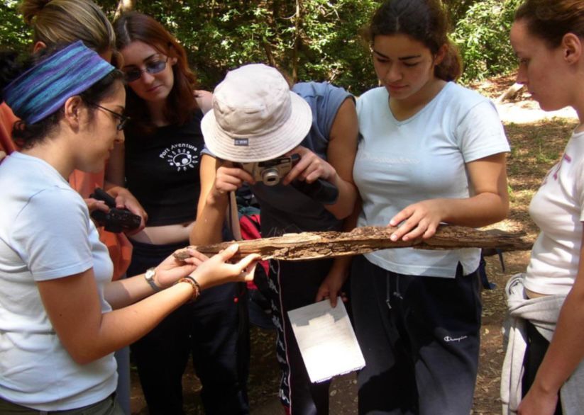 Un programa medioambiental (LA OROTAVA)