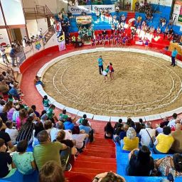 Competición de Lucha Canaria. (CEDIDA)